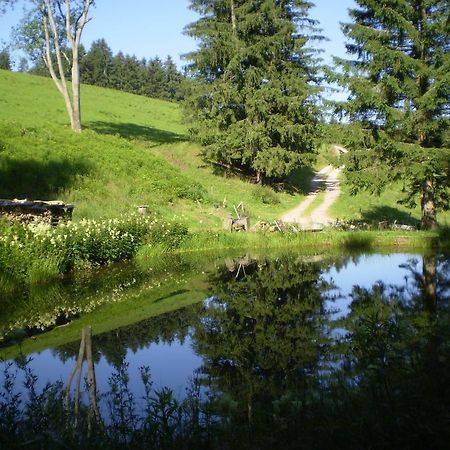Grundhaeusle Lägenhet Gutenbach Exteriör bild
