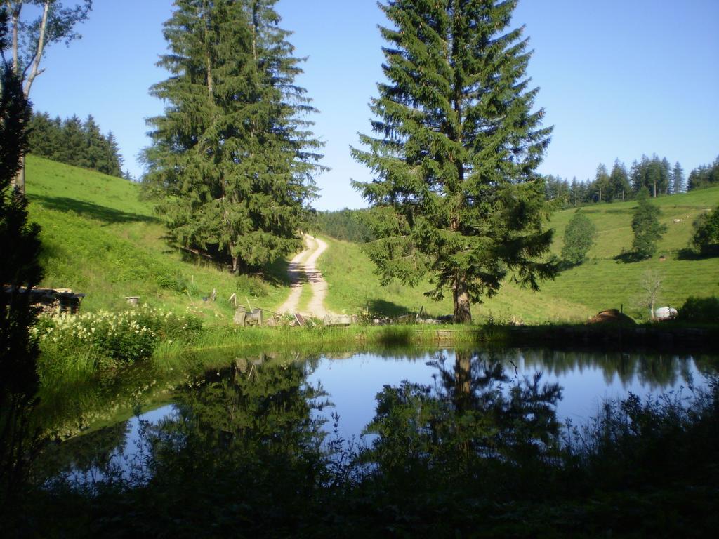 Grundhaeusle Lägenhet Gutenbach Exteriör bild