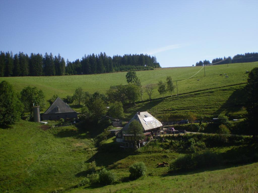 Grundhaeusle Lägenhet Gutenbach Exteriör bild